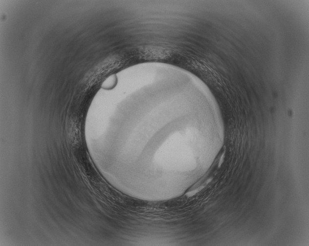 X0000084020743200703161739