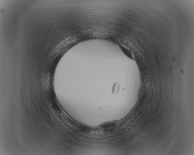 X0000084020744200703161739