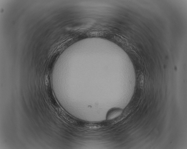 X0000084020746200703161739