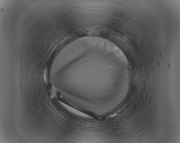 X0000084020748200703161739