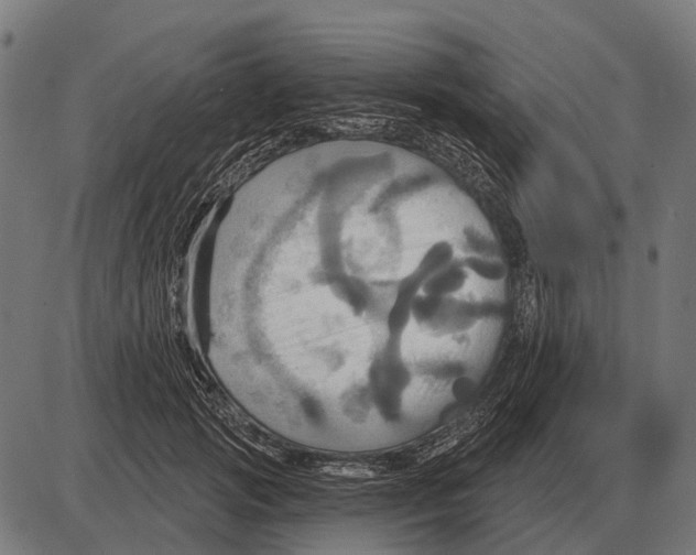 X0000084020749200703161739