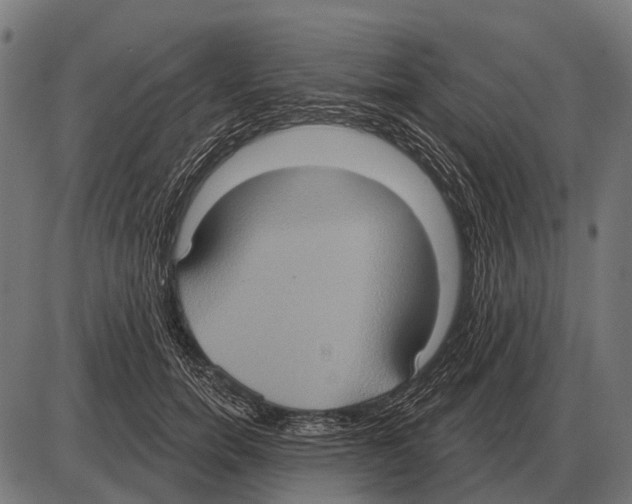 X0000084020750200703161739