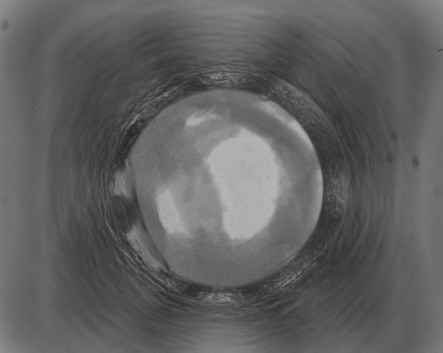 X0000084020751200703161739