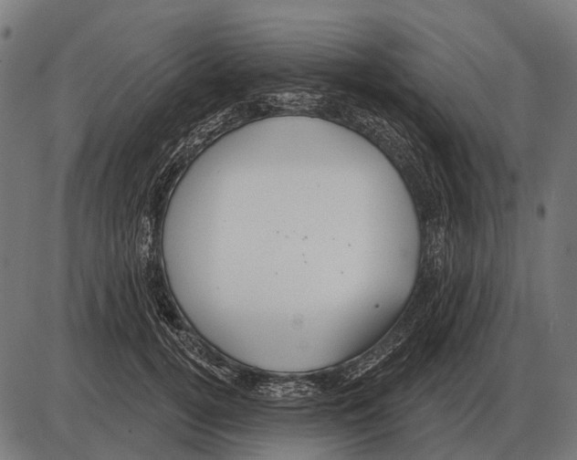 X0000084020752200703161739