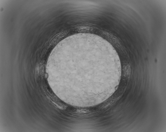 X0000084020753200703161739