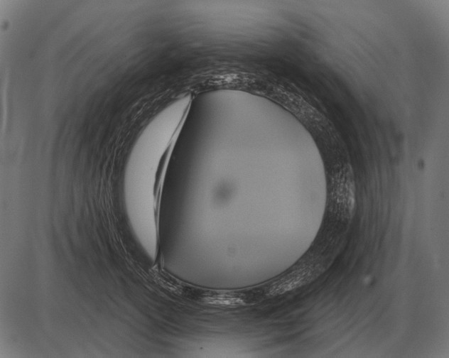 X0000084020754200703161739