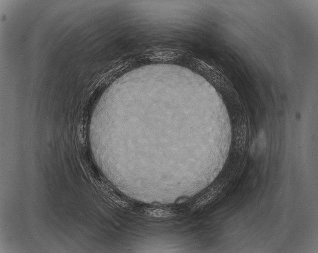 X0000084020755200703161739