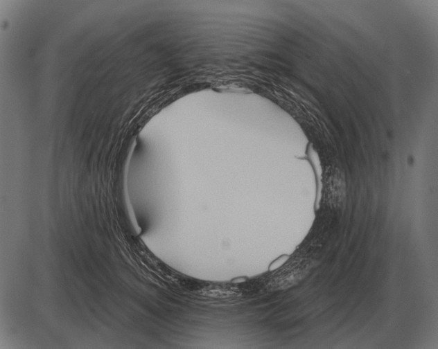 X0000084020756200703161739