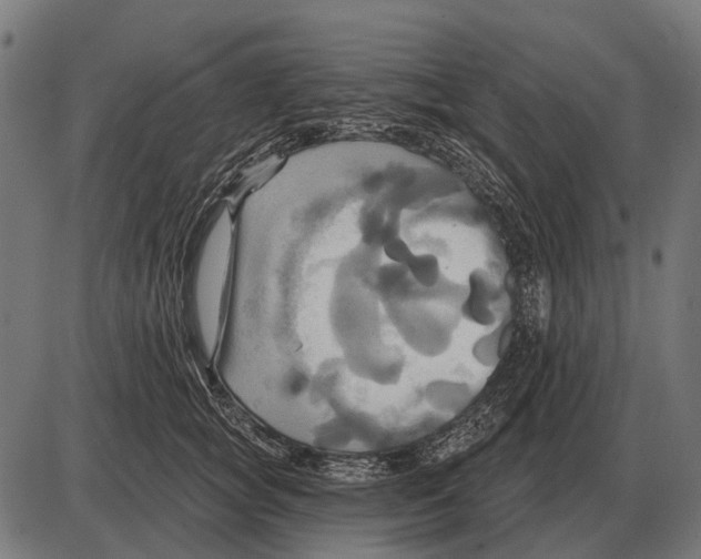 X0000084020757200703161739