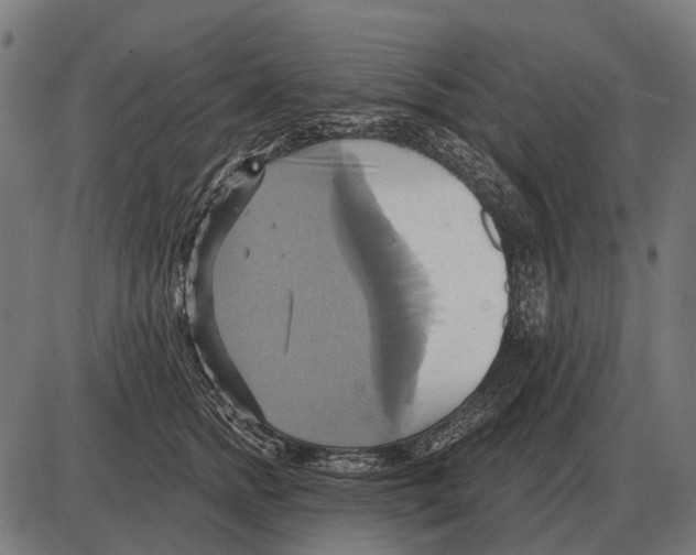 X0000084020758200703161739