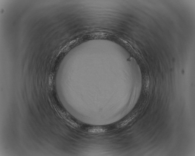 X0000084020759200703161739