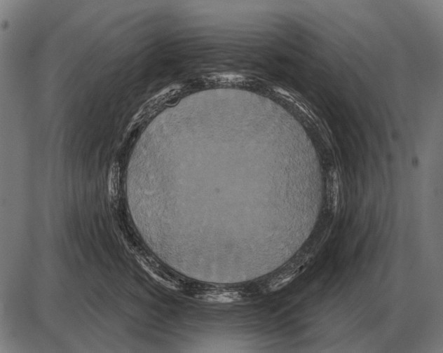 X0000084020760200703161739