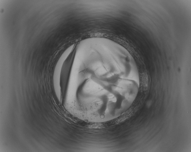 X0000084020761200703161739