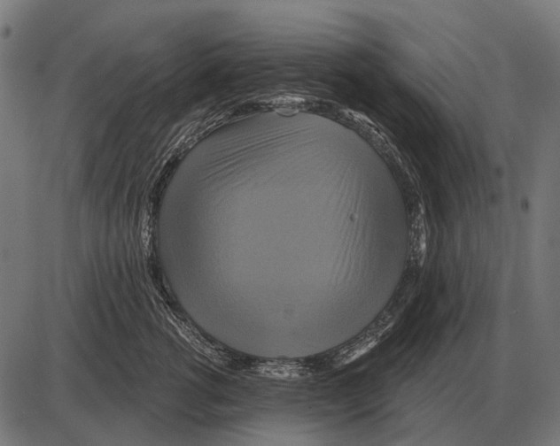 X0000084020762200703161739