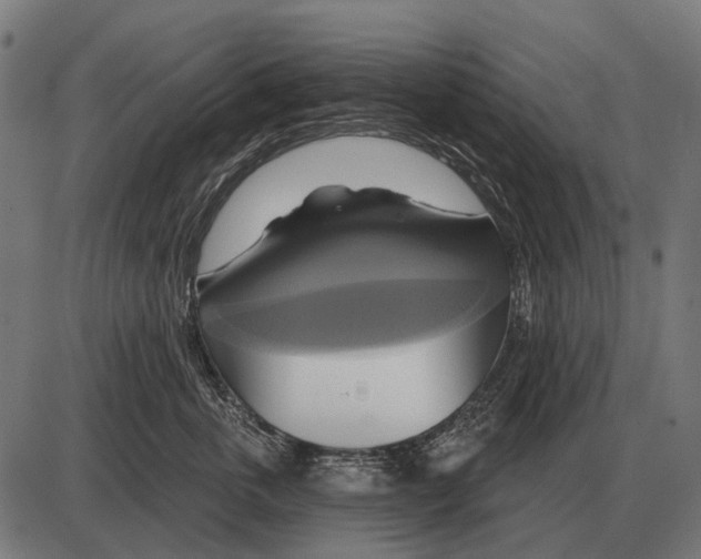 X0000084020763200703161739