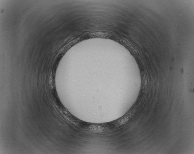 X0000084020764200703161739