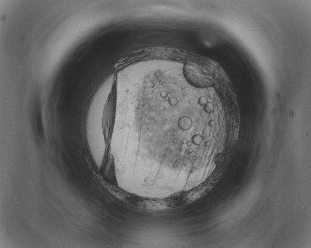 X0000084020765200703161739