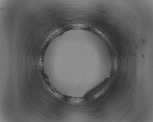 X0000084020766200703161739