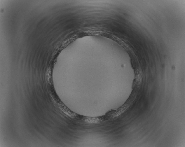 X0000084020767200703161739