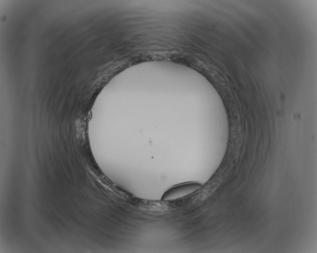 X0000084020768200703161739