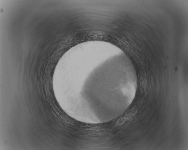 X0000084020769200703161738