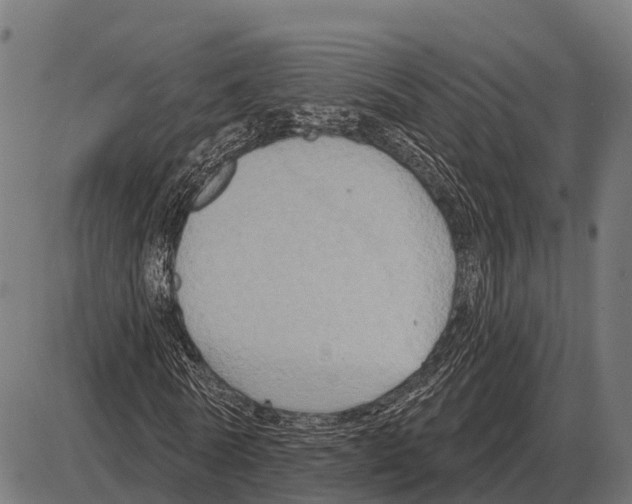 X0000084020770200703161738