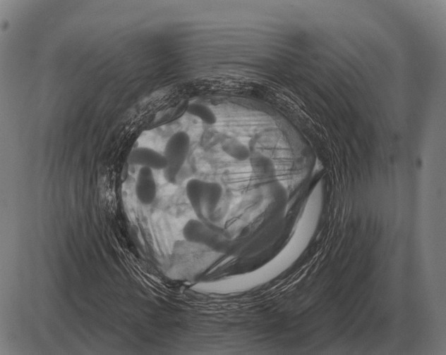 X0000084020771200703161738