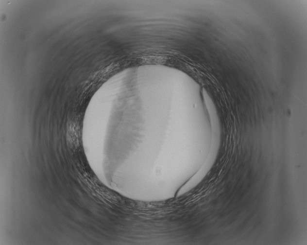 X0000084020772200703161738