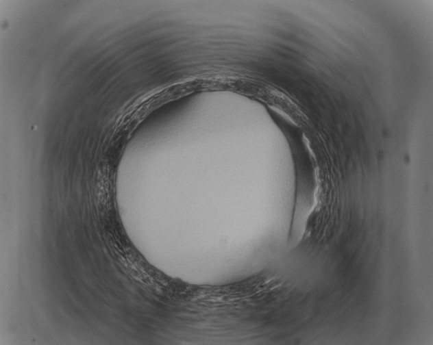 X0000084020773200703161738