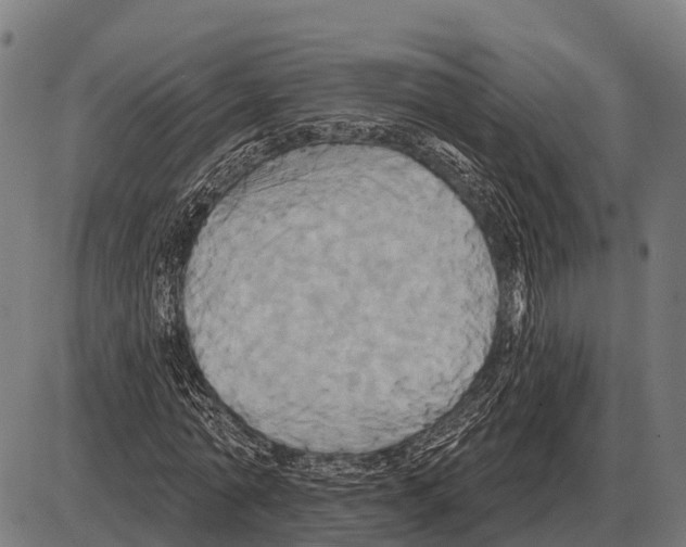 X0000084020774200703161738