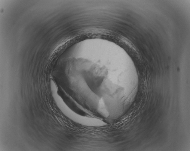 X0000084020775200703161738