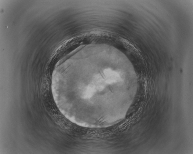 X0000084020776200703161738