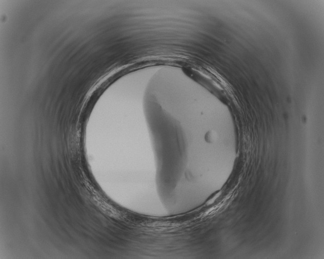 X0000084020779200703161738