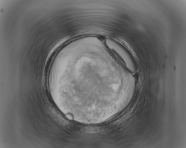 X0000084020780200703161738