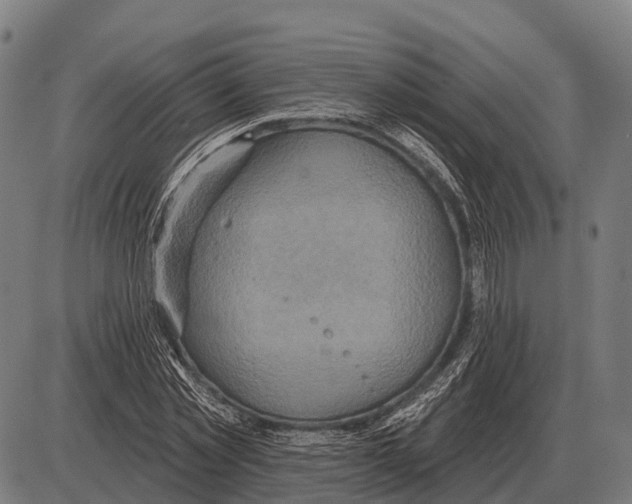 X0000084020781200703161738