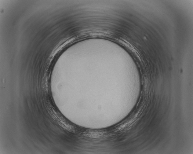 X0000084020782200703161738