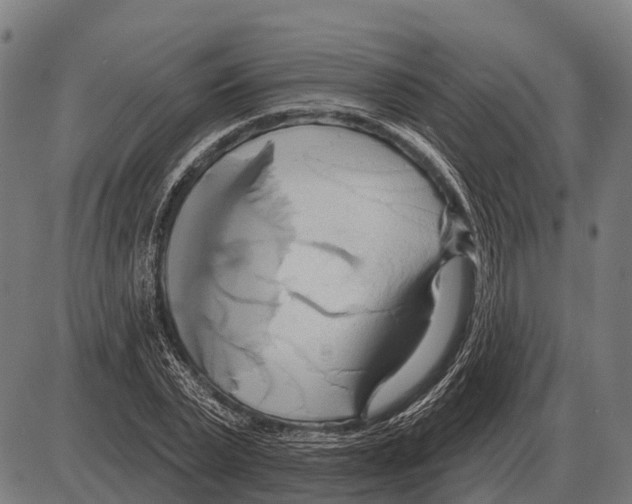 X0000084020783200703161738