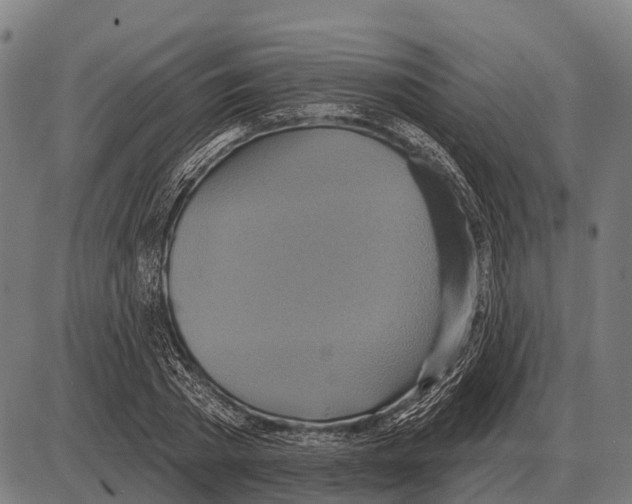 X0000084020785200703161738