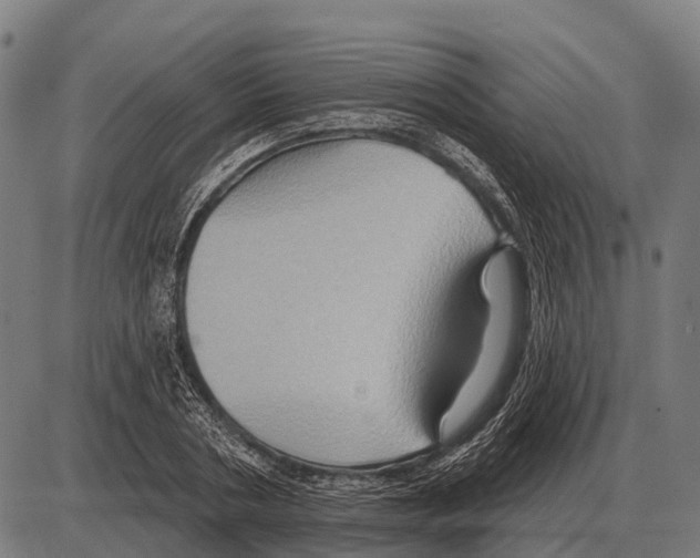 X0000084020786200703161738