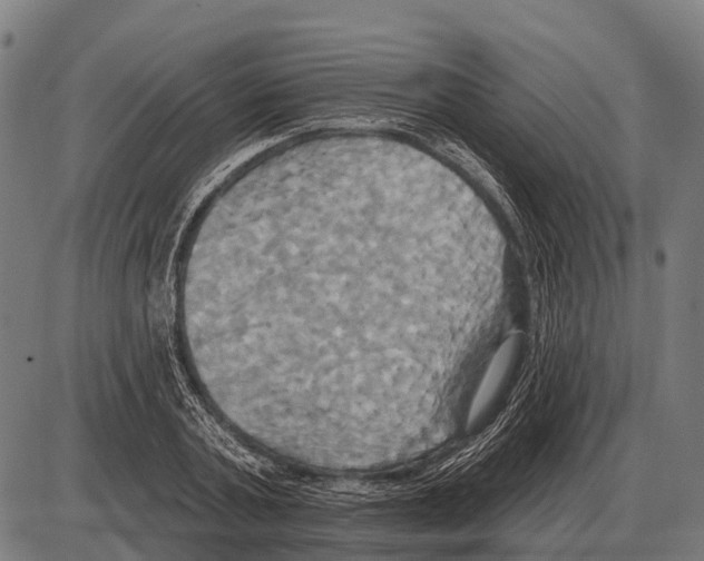 X0000084020787200703161738