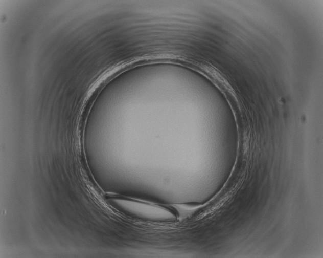 X0000084020789200703161738