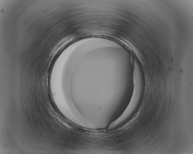 X0000084020790200703161738