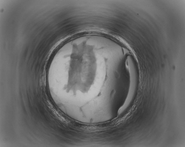 X0000084020791200703161738