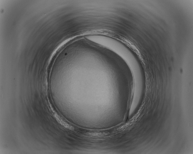 X0000084020792200703161738