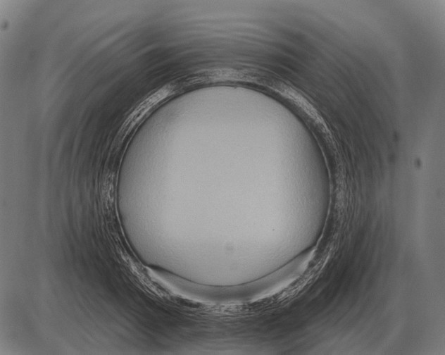 X0000084020793200703161738