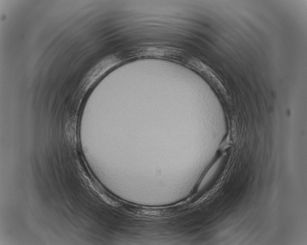 X0000084020794200703161738