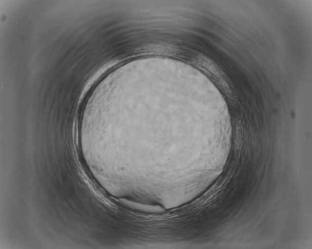 X0000084020796200703161738