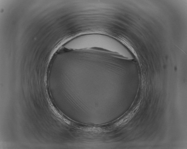 X0000084020797200703161738