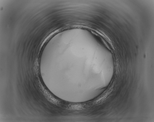 X0000084020798200703161738