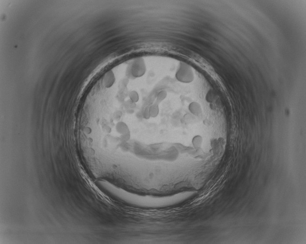 X0000084020799200703161738